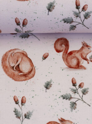 Jersey, Eichhörnchen